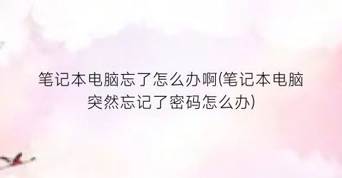 笔记本电脑忘了怎么办啊(笔记本电脑突然忘记了密码怎么办)