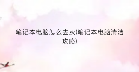 “笔记本电脑怎么去灰(笔记本电脑清洁攻略)
