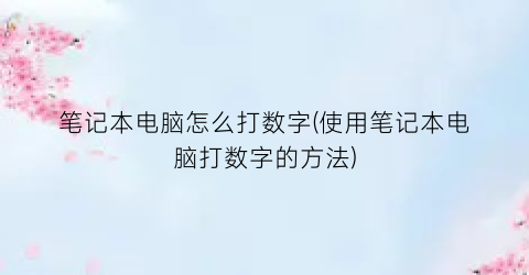 笔记本电脑怎么打数字(使用笔记本电脑打数字的方法)