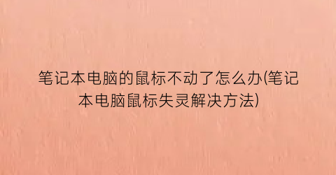 笔记本电脑的鼠标不动了怎么办(笔记本电脑鼠标失灵解决方法)