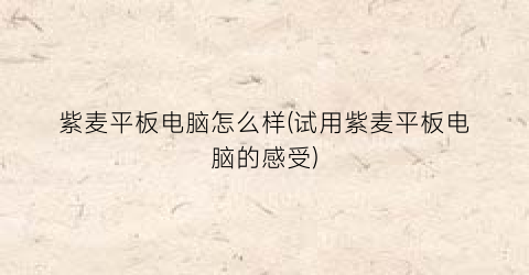 “紫麦平板电脑怎么样(试用紫麦平板电脑的感受)