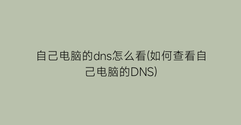 “自己电脑的dns怎么看(如何查看自己电脑的DNS)