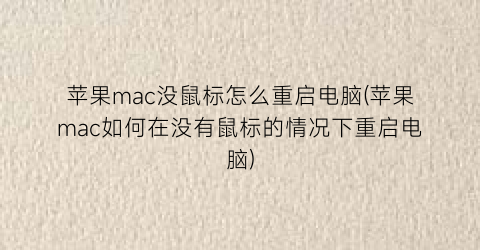 苹果mac没鼠标怎么重启电脑(苹果mac如何在没有鼠标的情况下重启电脑)