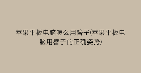 苹果平板电脑怎么用簪子(苹果平板电脑用簪子的正确姿势)