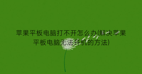 苹果平板电脑打不开怎么办(解决苹果平板电脑无法开机的方法)