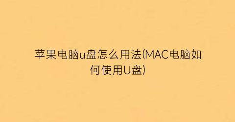 苹果电脑u盘怎么用法(MAC电脑如何使用U盘)