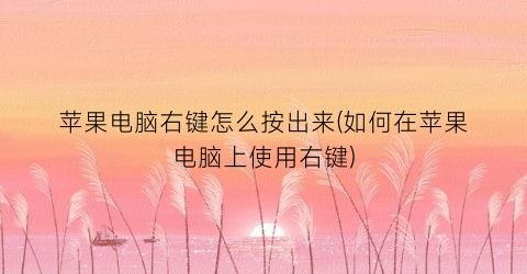 苹果电脑右键怎么按出来(如何在苹果电脑上使用右键)