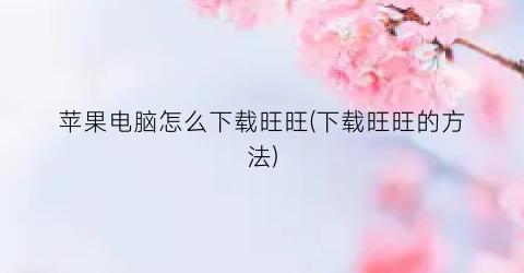 苹果电脑怎么下载旺旺(下载旺旺的方法)