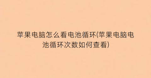 苹果电脑怎么看电池循环(苹果电脑电池循环次数如何查看)