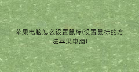 苹果电脑怎么设置鼠标(设置鼠标的方法苹果电脑)