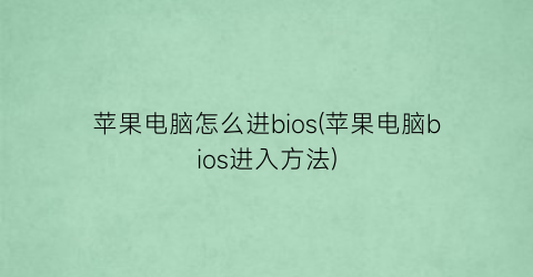 “苹果电脑怎么进bios(苹果电脑bios进入方法)