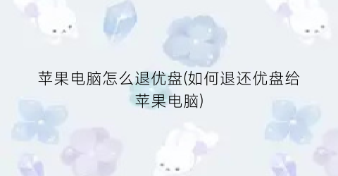 苹果电脑怎么退优盘(如何退还优盘给苹果电脑)