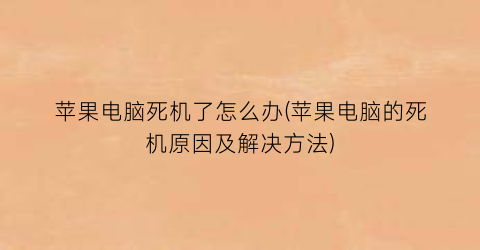 苹果电脑死机了怎么办(苹果电脑的死机原因及解决方法)