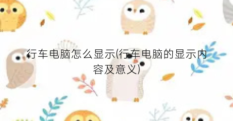 行车电脑怎么显示(行车电脑的显示内容及意义)