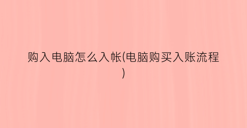 “购入电脑怎么入帐(电脑购买入账流程)