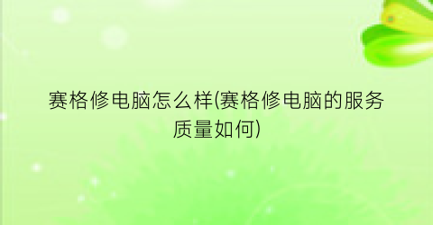 赛格修电脑怎么样(赛格修电脑的服务质量如何)