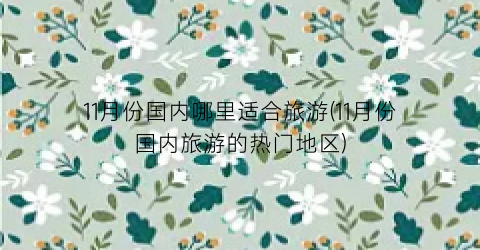 11月份国内哪里适合旅游(11月份国内旅游的热门地区)