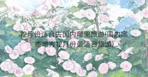 12月份适合去国内哪里旅游(国内哪些地方12月份最适合旅游)