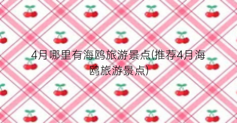 4月哪里有海鸥旅游景点(推荐4月海鸥旅游景点)