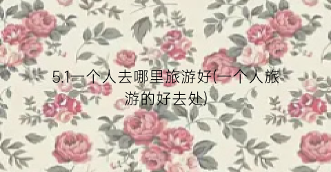 5.1一个人去哪里旅游好(一个人旅游的好去处)
