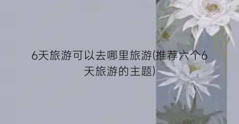 6天旅游可以去哪里旅游(推荐六个6天旅游的主题)