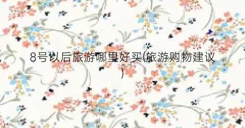 8号以后旅游哪里好买(旅游购物建议)