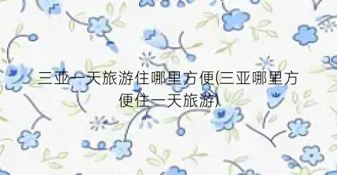 三亚一天旅游住哪里方便(三亚哪里方便住一天旅游)
