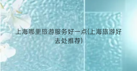 上海哪里旅游服务好一点(上海旅游好去处推荐)