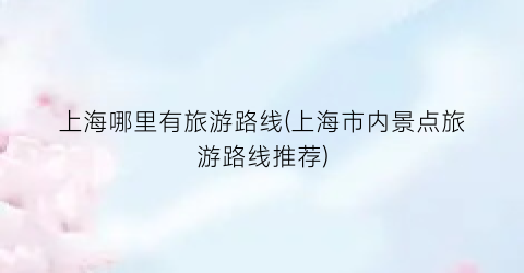 上海哪里有旅游路线(上海市内景点旅游路线推荐)