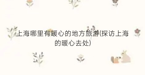 上海哪里有暖心的地方旅游(探访上海的暖心去处)
