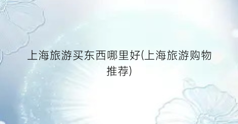 上海旅游买东西哪里好(上海旅游购物推荐)
