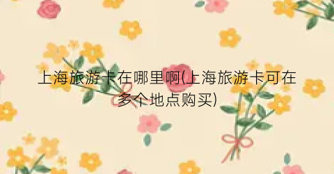 上海旅游卡在哪里啊(上海旅游卡可在多个地点购买)