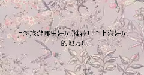 上海旅游哪里好玩(推荐几个上海好玩的地方)