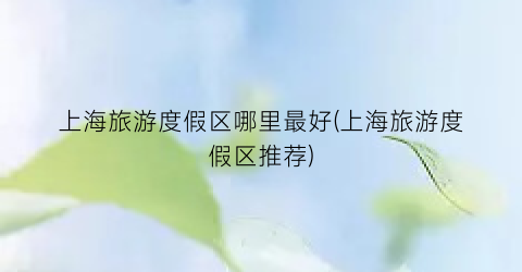 上海旅游度假区哪里最好(上海旅游度假区推荐)
