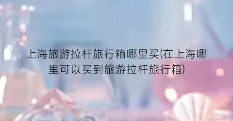 上海旅游拉杆旅行箱哪里买(在上海哪里可以买到旅游拉杆旅行箱)