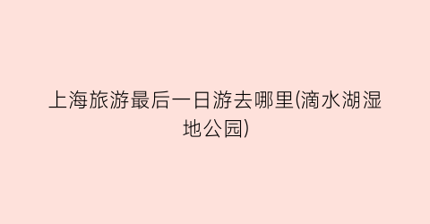 上海旅游最后一日游去哪里(滴水湖湿地公园)