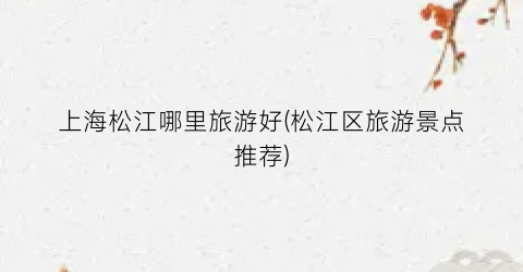 上海松江哪里旅游好(松江区旅游景点推荐)