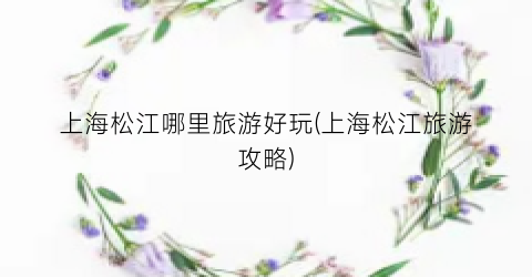 上海松江哪里旅游好玩(上海松江旅游攻略)