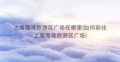 上海海湾旅游区广场在哪里(如何前往上海海湾旅游区广场)