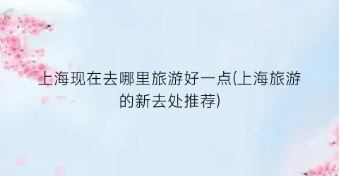 上海现在去哪里旅游好一点(上海旅游的新去处推荐)