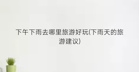 下午下雨去哪里旅游好玩(下雨天的旅游建议)