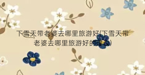 下雪天带老婆去哪里旅游好(下雪天带老婆去哪里旅游好的建议)
