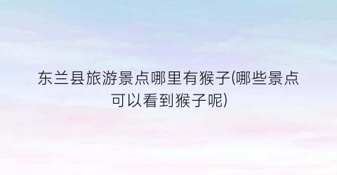 东兰县旅游景点哪里有猴子(哪些景点可以看到猴子呢)