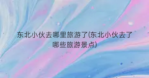 东北小伙去哪里旅游了(东北小伙去了哪些旅游景点)