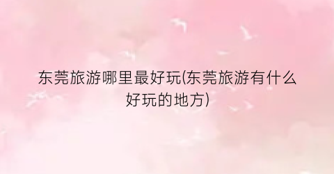 东莞旅游哪里最好玩(东莞旅游有什么好玩的地方)