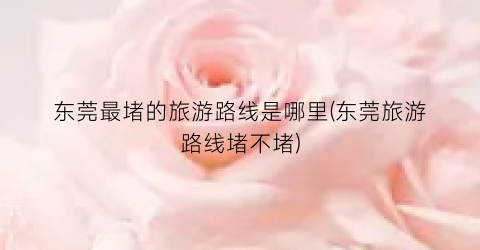 东莞最堵的旅游路线是哪里(东莞旅游路线堵不堵)
