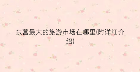 东营最大的旅游市场在哪里(附详细介绍)