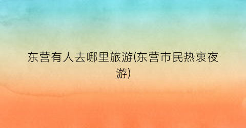 东营有人去哪里旅游(东营市民热衷夜游)