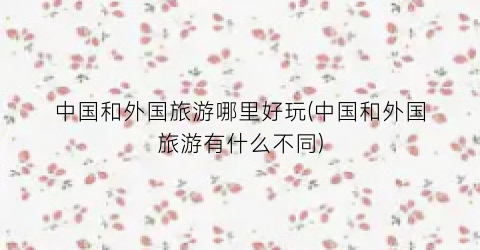 中国和外国旅游哪里好玩(中国和外国旅游有什么不同)