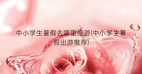 中小学生暑假去哪里旅游(中小学生暑假出游推荐)